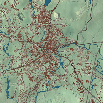 Close-up of the map of Taunton, Massachusetts print showing streets and neighborhoods
