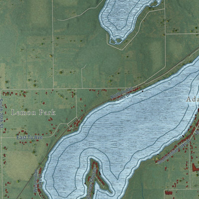 Close-up of the map of Brady, Kalamazoo County, Michigan print showing street and building detail