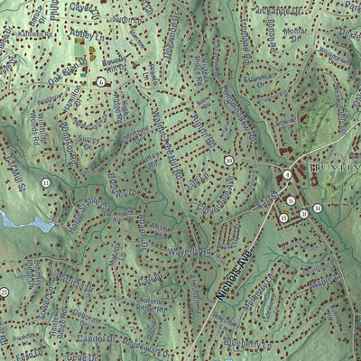 Close-up of the map of Shelton, Connecticut print showing street and building detail