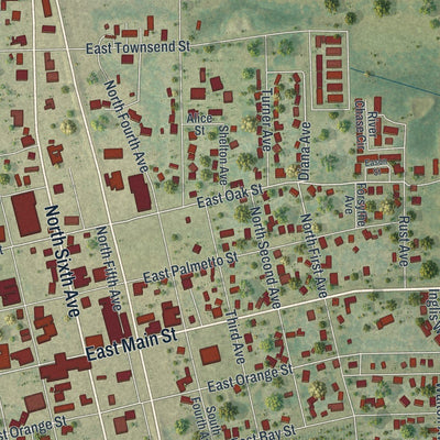 Close-up of the map of Wauchula, Florida print showing street and building detail
