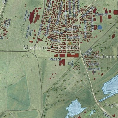 Close-up of the map of Madison, Illinois print showing street and building detail