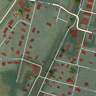 Close-up of the map of Trimble, Tennessee print showing street and building detail