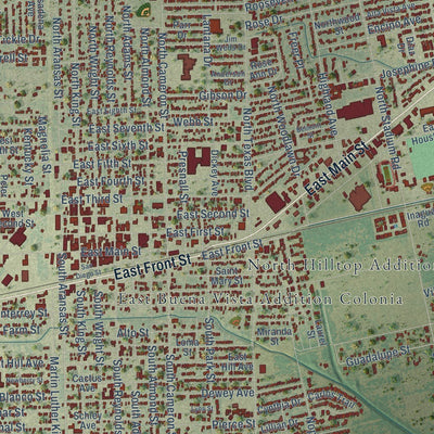 Close-up of the map of Alice, Texas print showing street and building detail