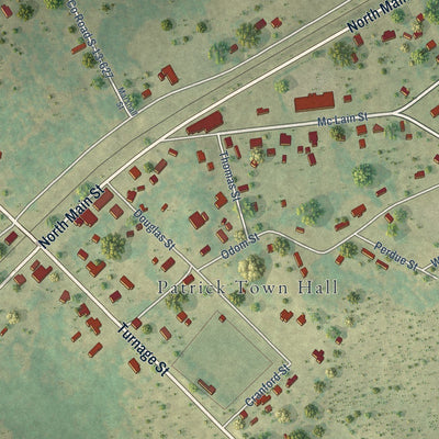 Close-up of the map of Patrick, South Carolina print showing street and building detail