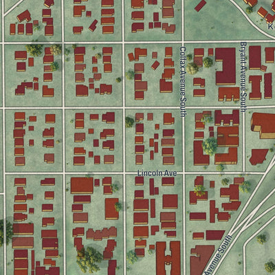 Close-up of the map of Lowry Hill, Minnesota print showing street and building detail
