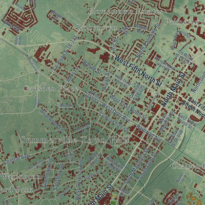 Close-up of the map of Summerville, South Carolina print showing street and building detail