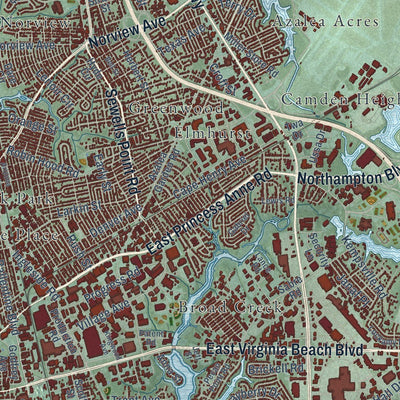 Close-up of the map of Norfolk, Virginia print showing street and building detail