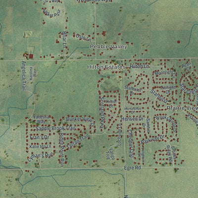 Close-up of the map of Bristol, Dane County, Wisconsin print showing street and building detail