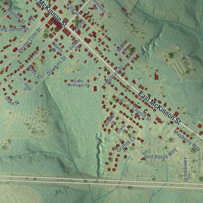 Close-up of the map of New Brockton, Alabama print showing street and building detail