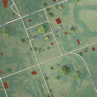 Close-up of the map of Brinsmade, North Dakota print showing street and building detail