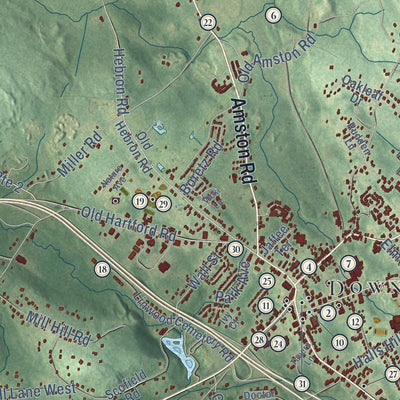 Close-up of the map of Colchester, Connecticut print showing street and building detail