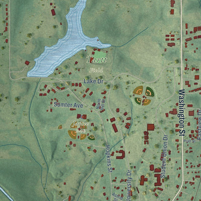 Close-up of the map of Livingston, Alabama print showing street and building detail