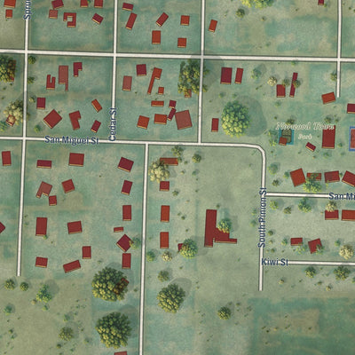 Close-up of the map of Norwood, Colorado print showing street and building detail