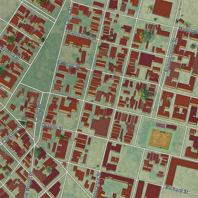 Close-up of the map of St. Thomas Area - Lower Garden District, Louisiana print showing street and building detail