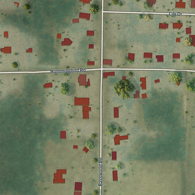 Close-up of the map of Bascom, Florida print showing street and building detail