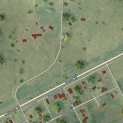 Close-up of the map of Vining, Minnesota print showing street and building detail
