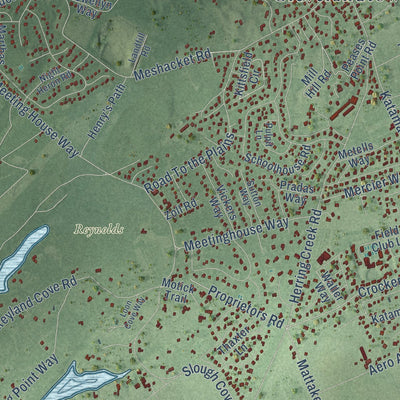 Close-up of the map of Edgartown, Massachusetts print showing street and building detail