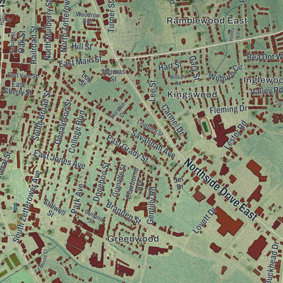 Close-up of the map of Statesboro, Georgia print showing street and building detail