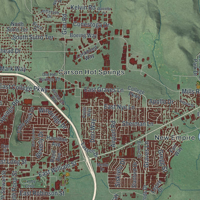 Close-up of the map of Carson City, Nevada print showing street and building detail