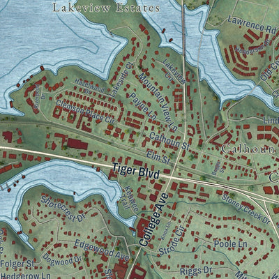 Close-up of the map of Clemson, South Carolina print showing street and building detail