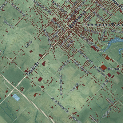 Close-up of the map of Hammonton, New Jersey print showing street and building detail