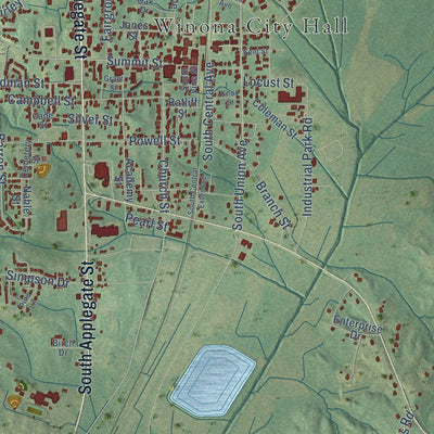 Close-up of the map of Winona, Mississippi print showing street and building detail