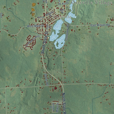 Close-up of the map of Forest, Genesee County, Michigan print showing street and building detail