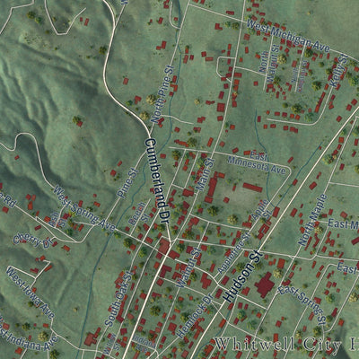 Close-up of the map of Whitwell, Tennessee print showing street and building detail