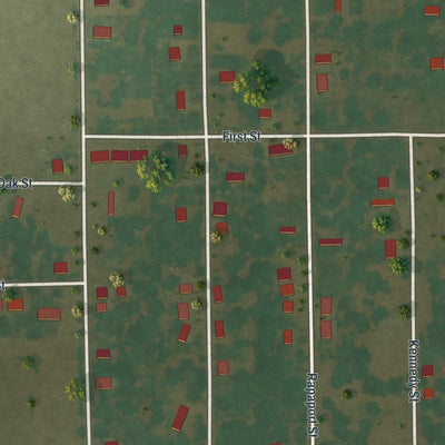 Close-up of the map of Hayti Heights, Missouri print showing street and building detail