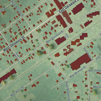 Close-up of the map of Decatur, Michigan print showing street and building detail