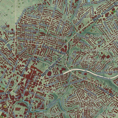 Close-up of the map of Greenville, South Carolina print showing street and building detail