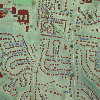 Close-up of the map of Long Branch, Virginia print showing street and building detail
