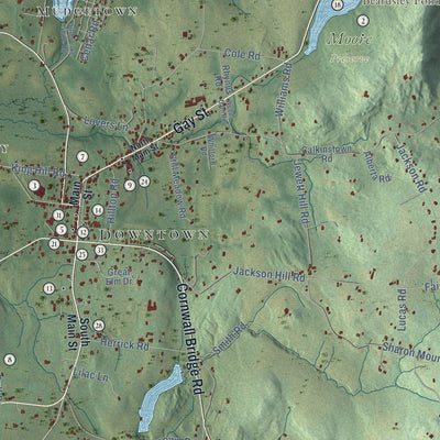 Close-up of the map of Sharon, Connecticut print showing street and building detail