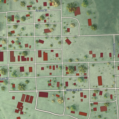 Close-up of the map of Ruskin, Nebraska print showing street and building detail