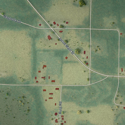Close-up of the map of Jacob City, Florida print showing street and building detail