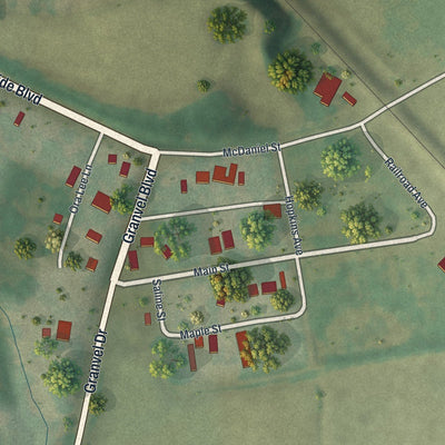 Close-up of the map of Wooldridge, Missouri print showing street and building detail