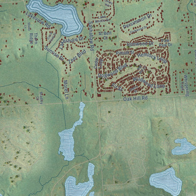 Close-up of the map of Brandon, Michigan print showing street and building detail