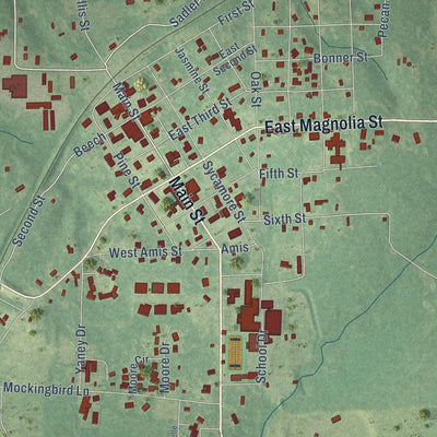 Close-up of the map of Rison, Arkansas print showing street and building detail