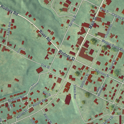Close-up of the map of Fayette, Mississippi print showing street and building detail
