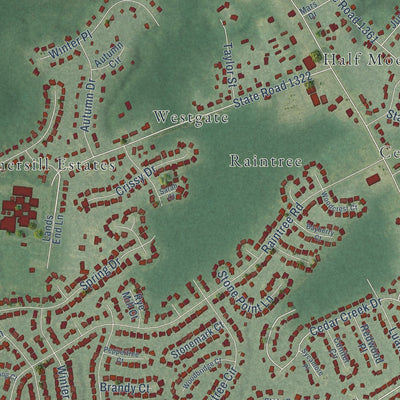 Close-up of the map of Half Moon, North Carolina print showing street and building detail