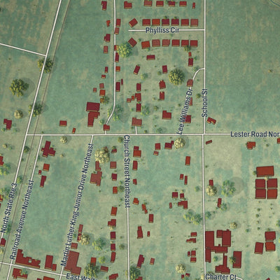 Close-up of the map of Baconton, Georgia print showing street and building detail