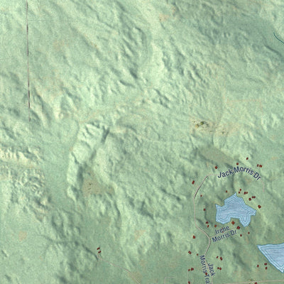 Close-up of the map of Edwards, Michigan print showing street and building detail