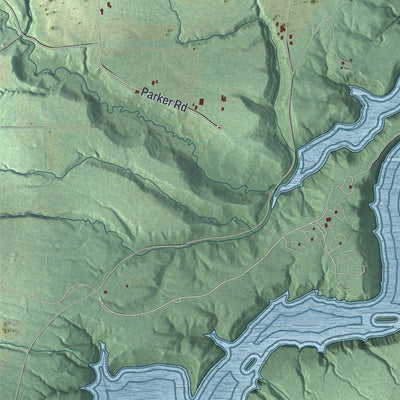 Close-up of the map of Leicester, New York print showing street and building detail