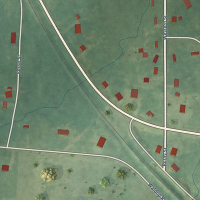 Close-up of the map of Magness, Arkansas print showing street and building detail