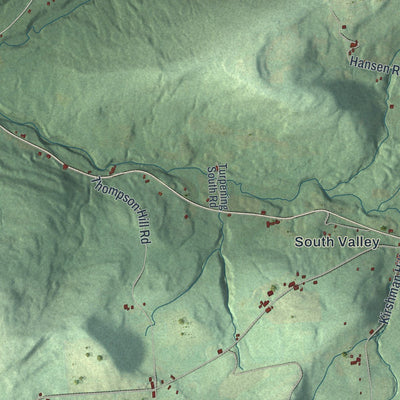 Close-up of the map of Roseboom, New York print showing street and building detail