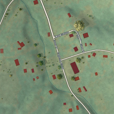 Close-up of the map of Paynesville, Missouri print showing street and building detail