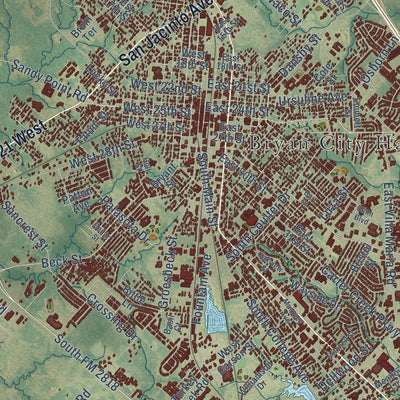 Close-up of the map of Bryan, Texas print showing street and building detail