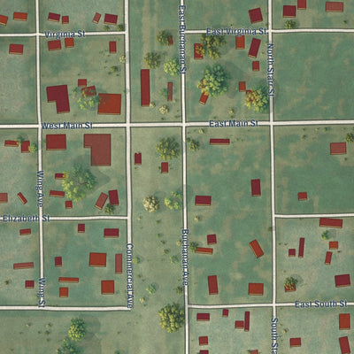Close-up of the map of Waggoner, Illinois print showing street and building detail