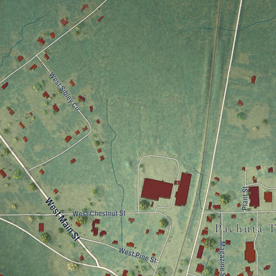 Close-up of the map of Pachuta, Mississippi print showing street and building detail