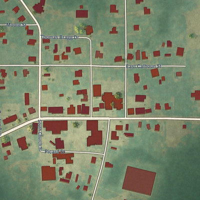 Close-up of the map of Jackson, North Carolina print showing street and building detail